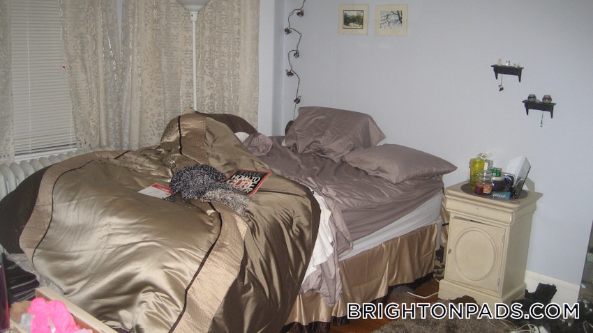 BOSTON - BRIGHTON- WASHINGTON ST./ ALLSTON ST. - 4 Beds, 2 Baths - Image 5