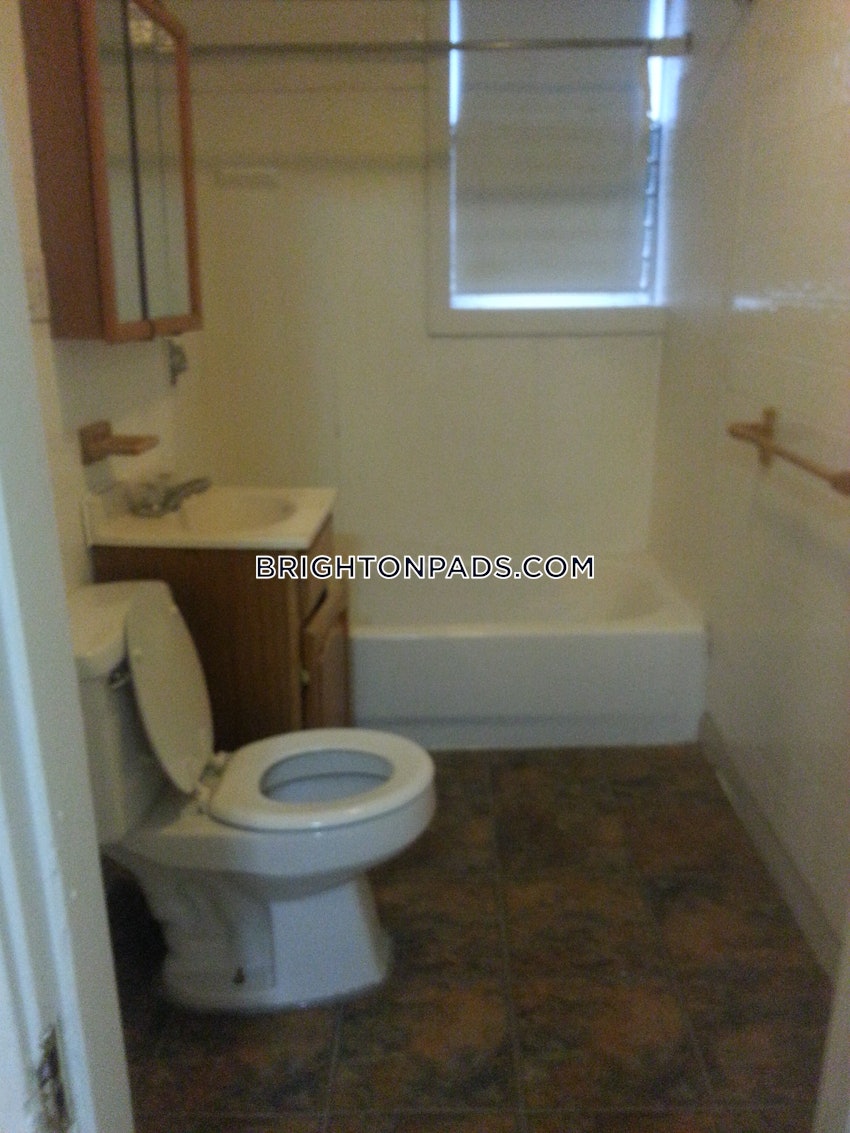 BOSTON - BRIGHTON - CLEVELAND CIRCLE - 1 Bed, 1 Bath - Image 12