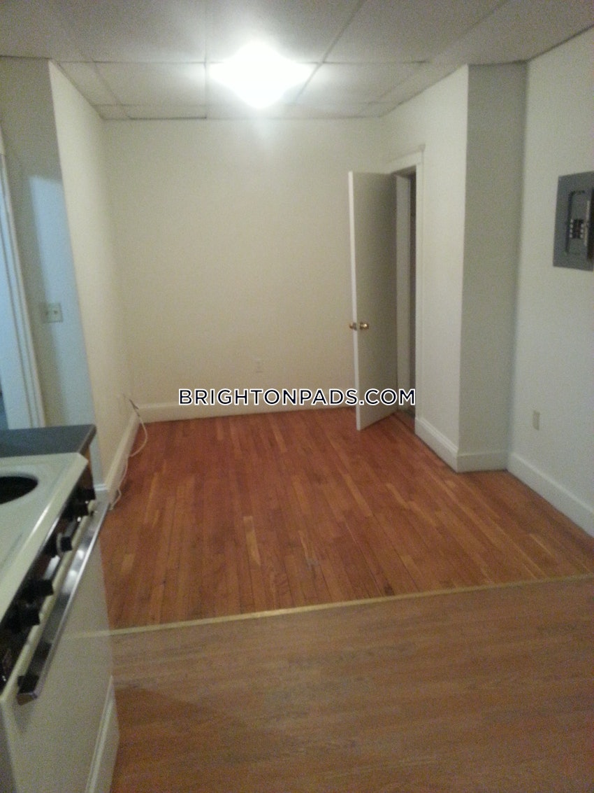 BOSTON - BRIGHTON - CLEVELAND CIRCLE - 1 Bed, 1 Bath - Image 10