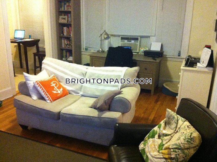 BOSTON - BRIGHTON- WASHINGTON ST./ ALLSTON ST. - 1 Bed, 1 Bath - Image 1