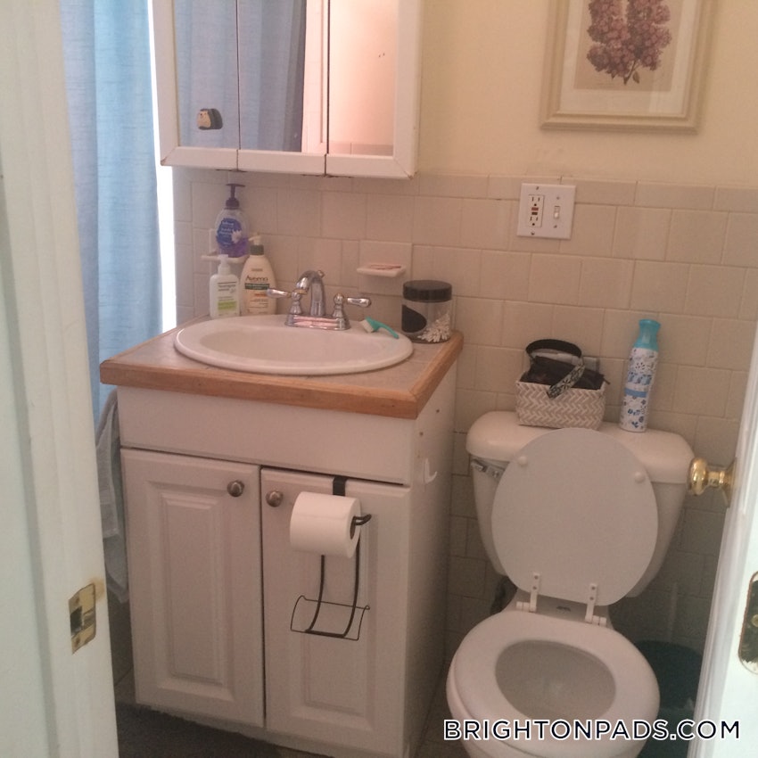 BOSTON - BRIGHTON- WASHINGTON ST./ ALLSTON ST. - 1 Bed, 1 Bath - Image 5