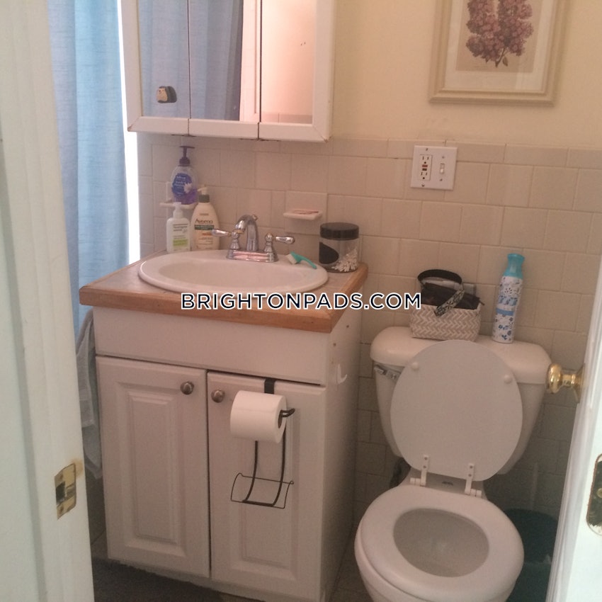 BOSTON - BRIGHTON - CLEVELAND CIRCLE - 1 Bed, 1 Bath - Image 5