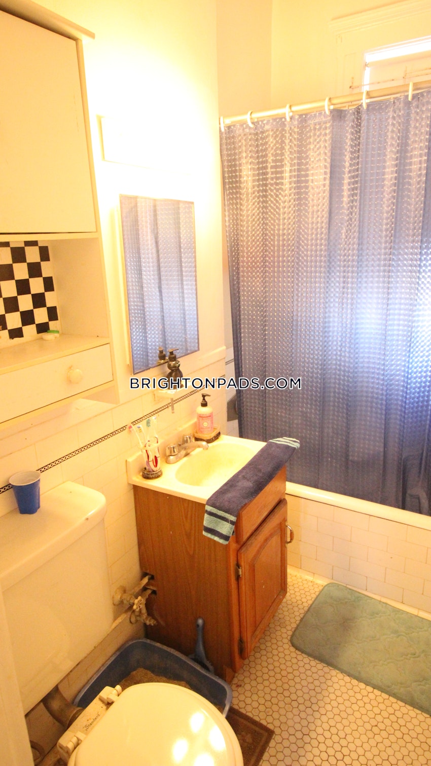 BOSTON - BRIGHTON- WASHINGTON ST./ ALLSTON ST. - 2 Beds, 1 Bath - Image 22