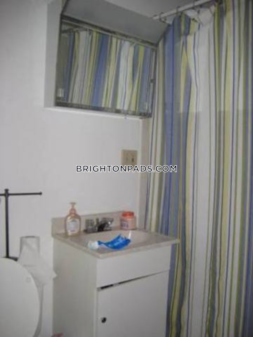 BOSTON - BRIGHTON - BOSTON COLLEGE - 1 Bed, 1 Bath - Image 15