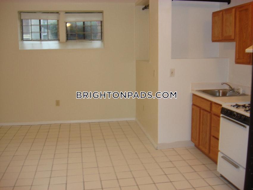 BOSTON - BRIGHTON - BOSTON COLLEGE - 1 Bed, 1 Bath - Image 19