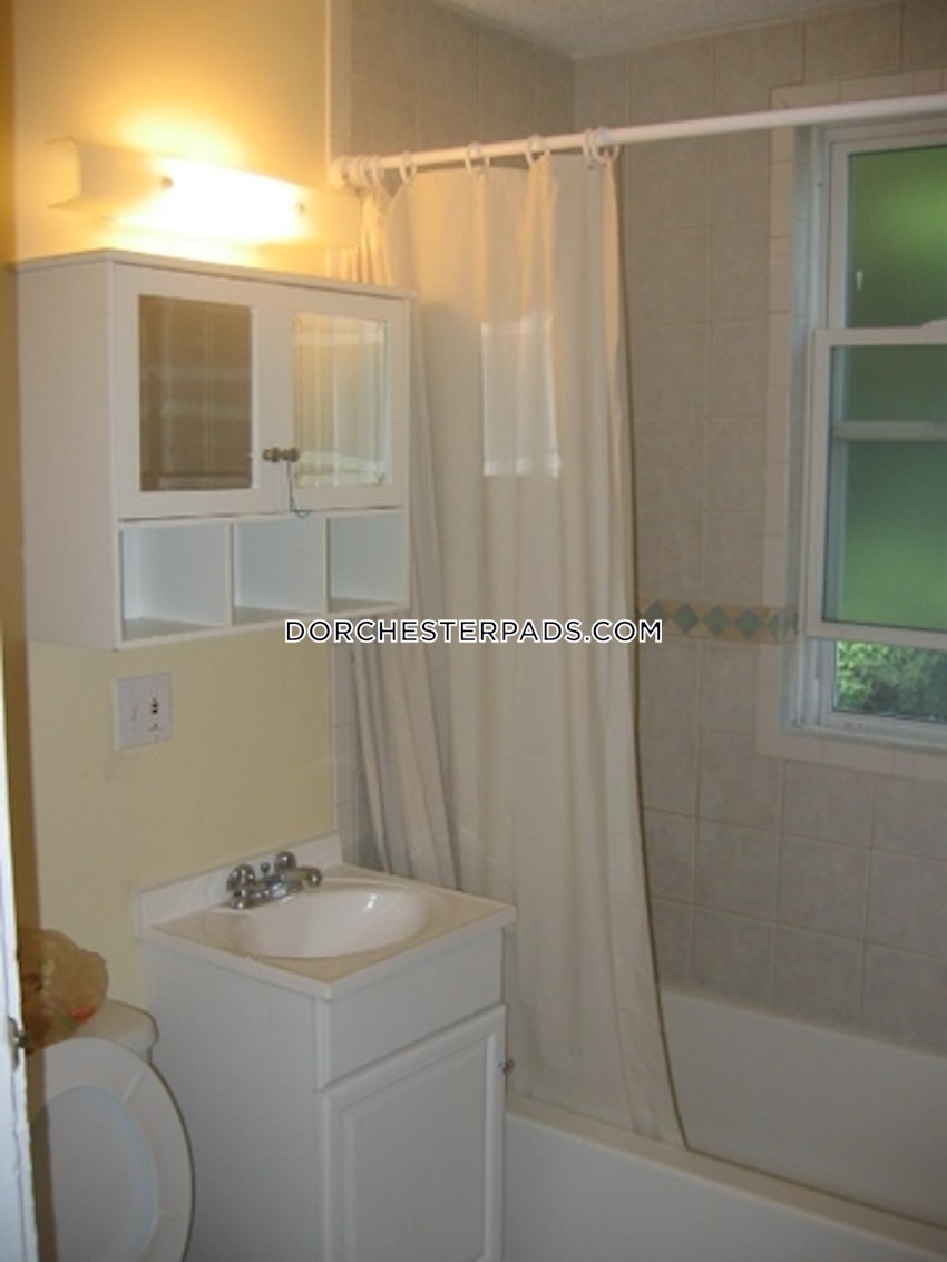 BOSTON - DORCHESTER - SAVIN HILL - 4 Beds, 1.5 Baths - Image 13