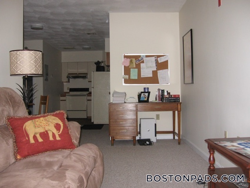 BOSTON - DOWNTOWN - 1 Bed, 1 Bath - Image 5