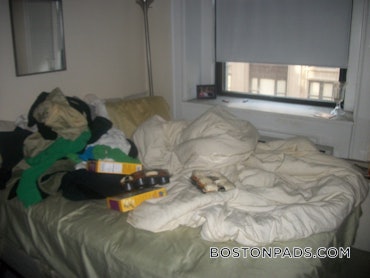 Chinatown, Boston, MA - Studio, 1 Bath - $2,595 - ID#49820