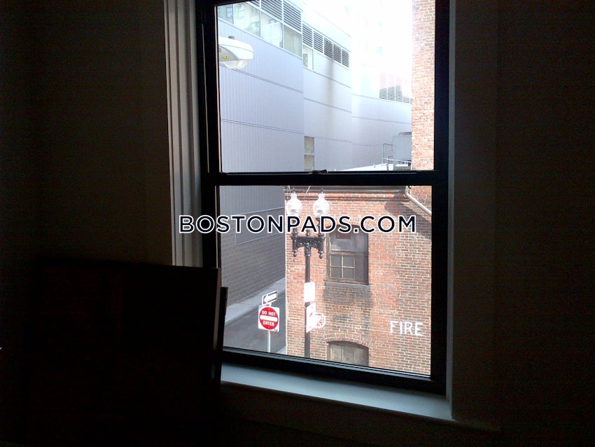 BOSTON - DOWNTOWN - 1 Bed, 1 Bath - Image 31