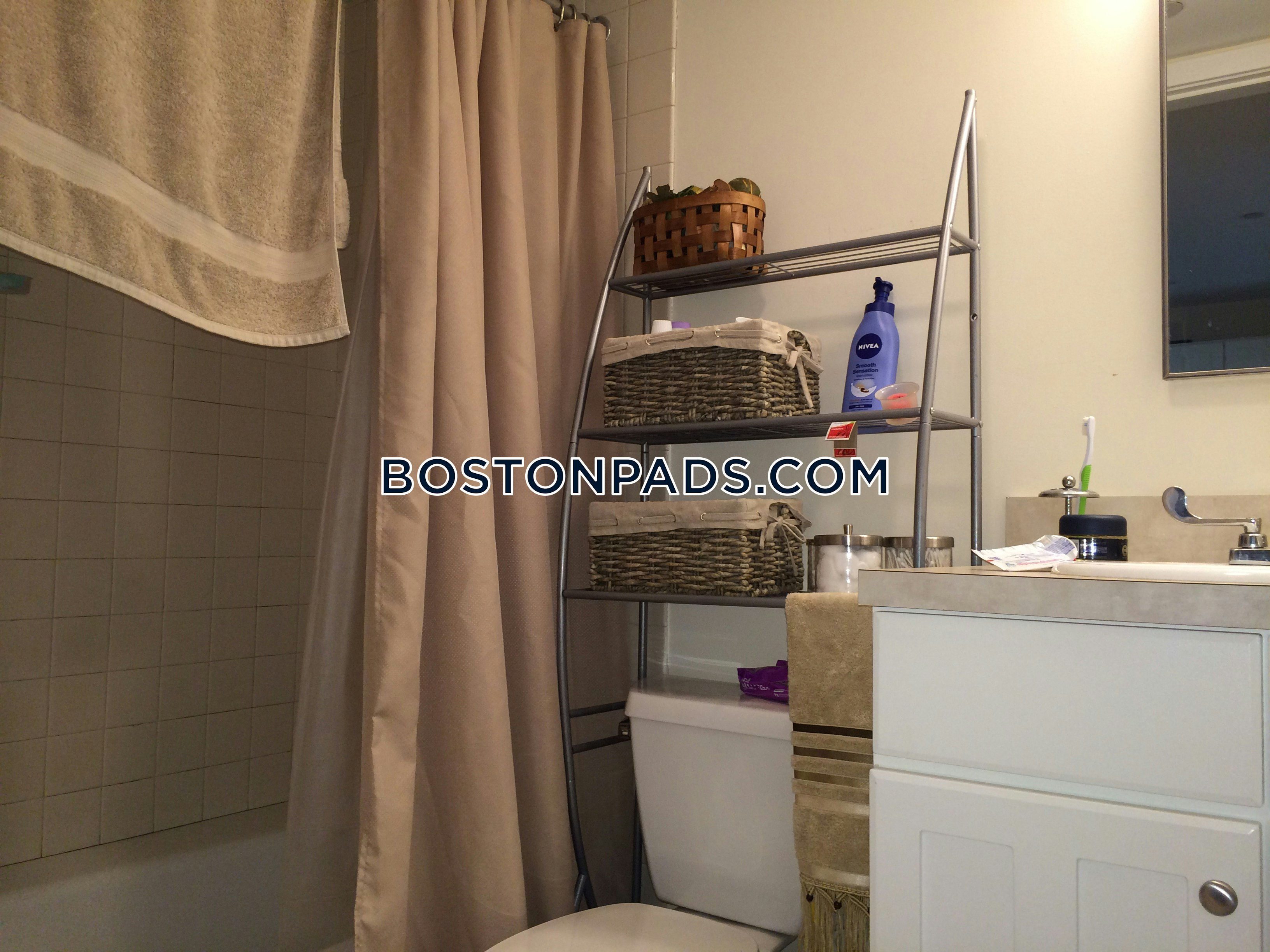 Downtown Apartment for rent 1 Bedroom 1 Bath Boston 3,000