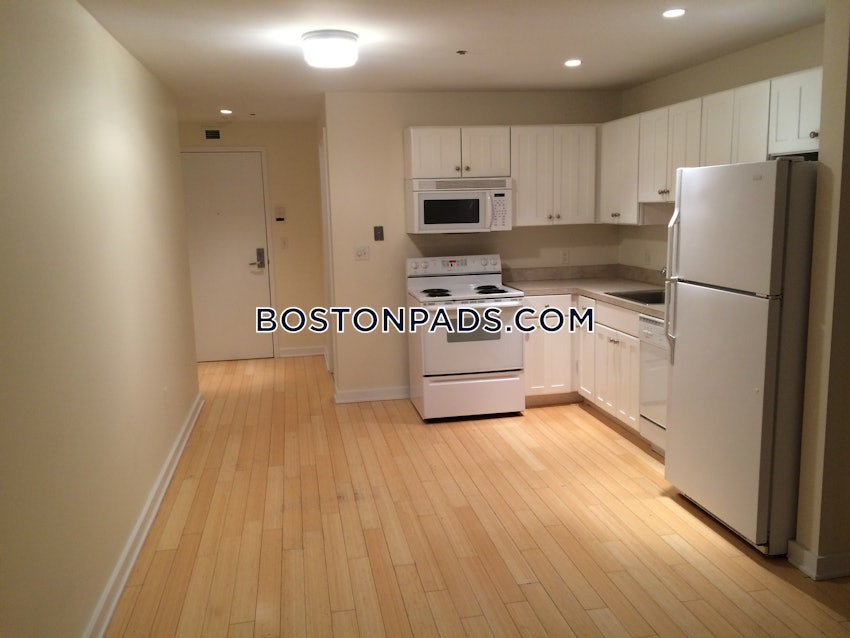 BOSTON - DOWNTOWN - 1 Bed, 1 Bath - Image 12