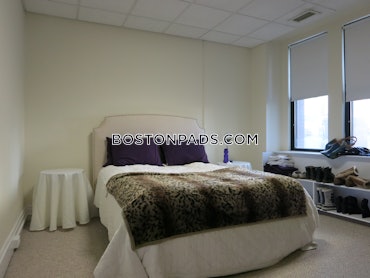 Chinatown, Boston, MA - 1 Bed, 1 Bath - $3,000 - ID#4693858