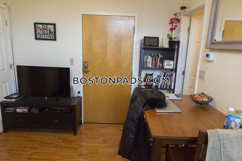 BOSTON - DOWNTOWN - 1 Bed, 1 Bath - Image 5