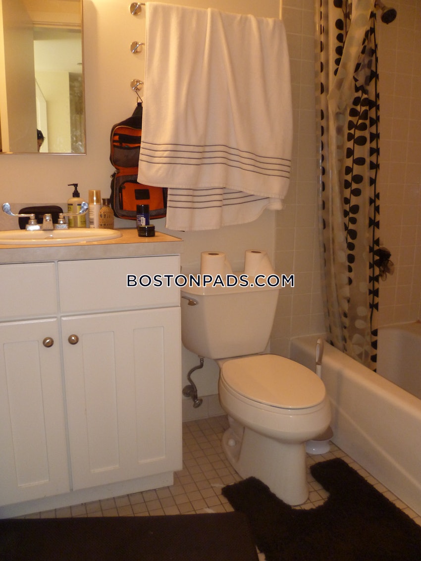 BOSTON - DOWNTOWN - 1 Bed, 1 Bath - Image 8