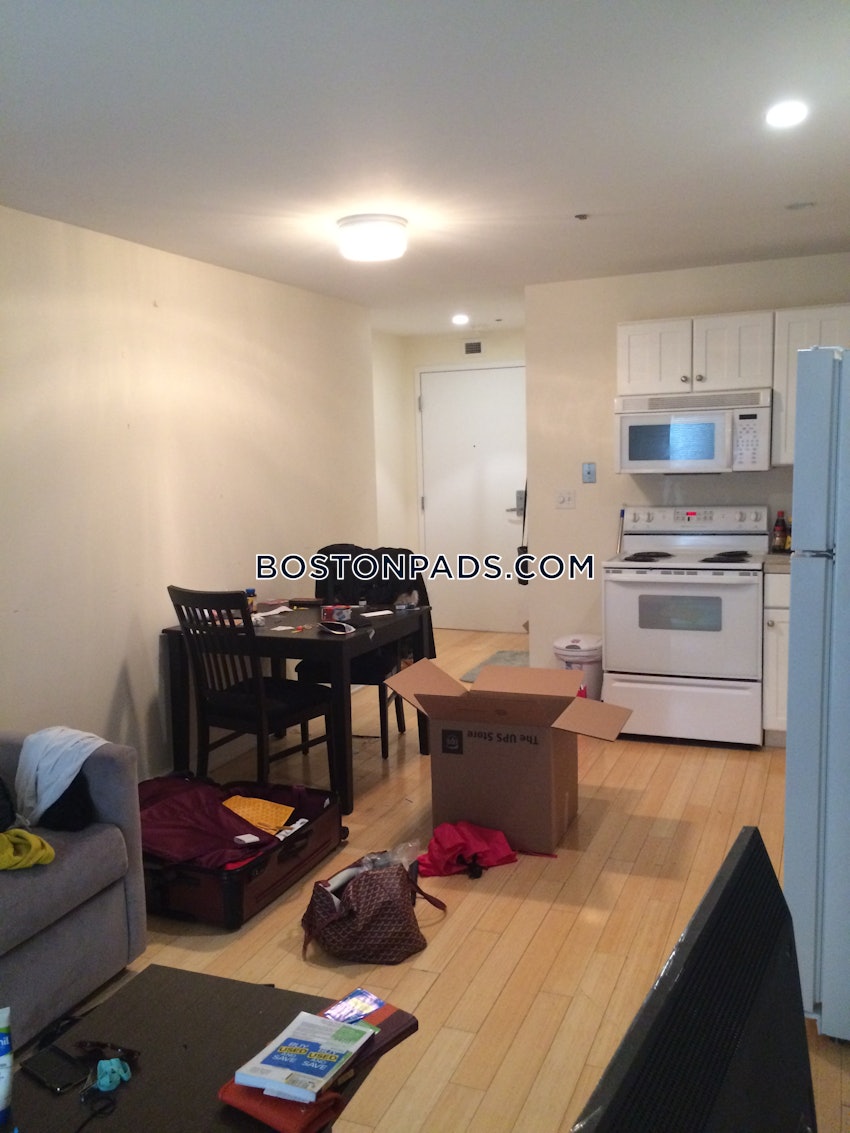 BOSTON - DOWNTOWN - 1 Bed, 1 Bath - Image 6