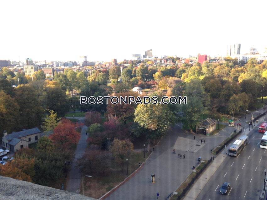 BOSTON - CHINATOWN - 1 Bed, 1 Bath - Image 6