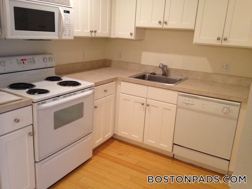 BOSTON - DOWNTOWN - 1 Bed, 1 Bath - Image 11