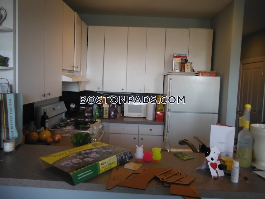 BOSTON - DOWNTOWN - 1 Bed, 1 Bath - Image 5