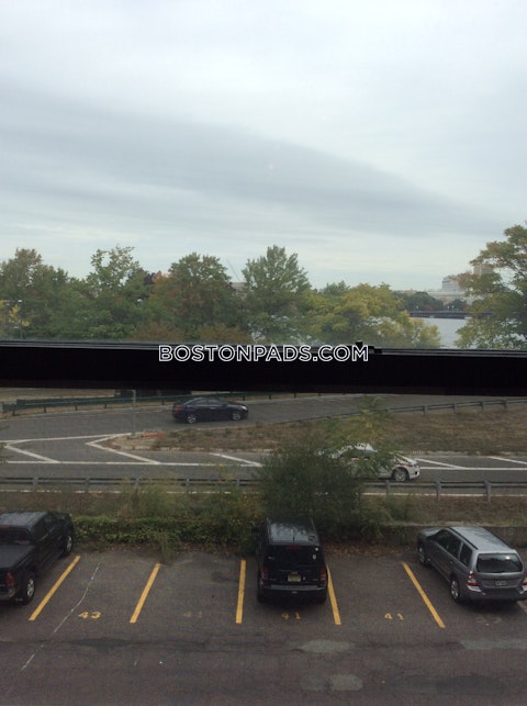 Bay State Rd. Boston photo 27
