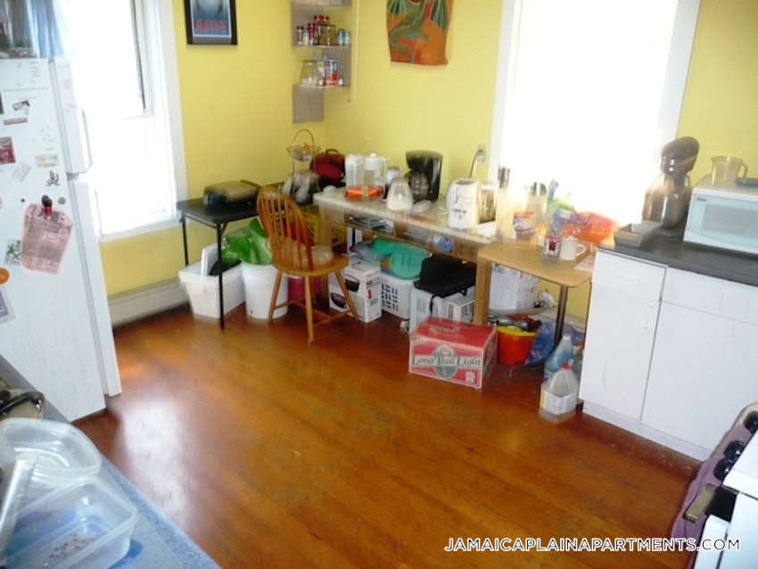 BOSTON - JAMAICA PLAIN - CENTER - 3 Beds, 1 Bath - Image 19