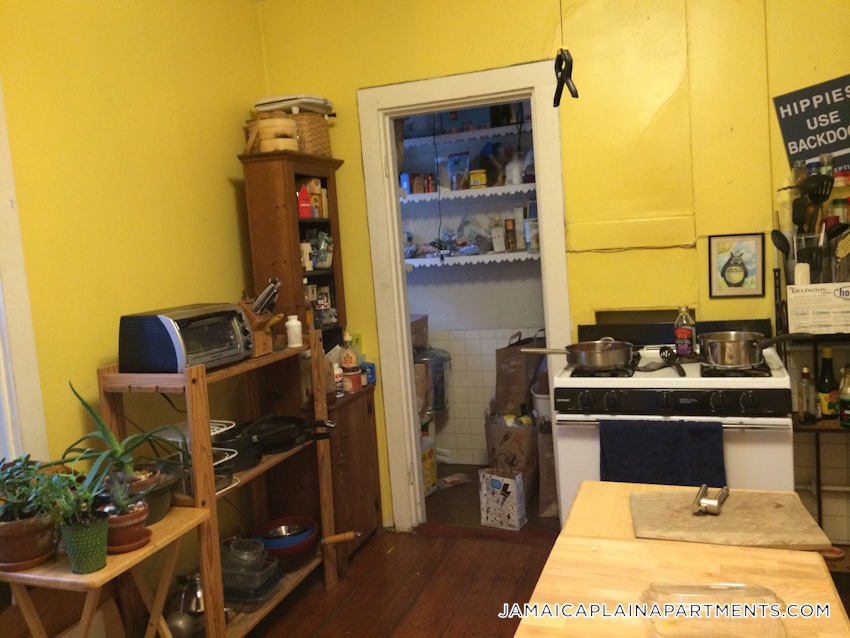 BOSTON - JAMAICA PLAIN - CENTER - 3 Beds, 1 Bath - Image 11