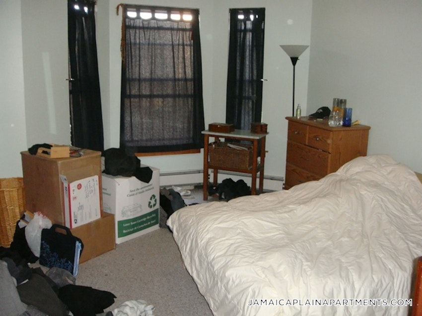 BOSTON - JAMAICA PLAIN - HYDE SQUARE - 1 Bed, 1 Bath - Image 29