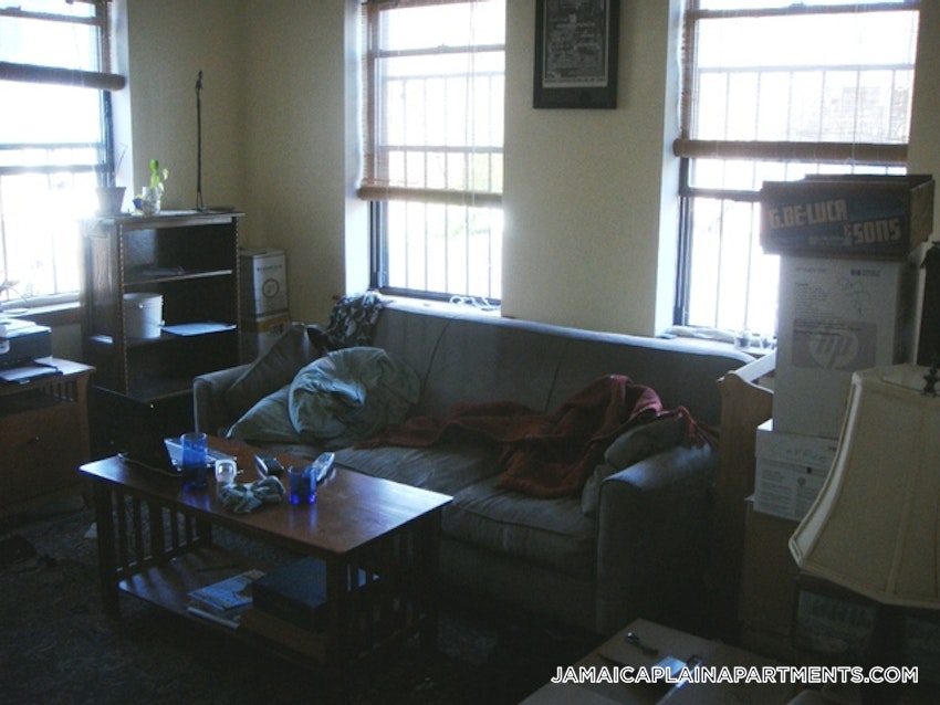 BOSTON - JAMAICA PLAIN - HYDE SQUARE - 1 Bed, 1 Bath - Image 28