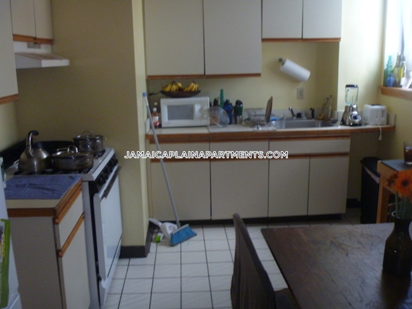 BOSTON - JAMAICA PLAIN - HYDE SQUARE - 1 Bed, 1 Bath - Image 22