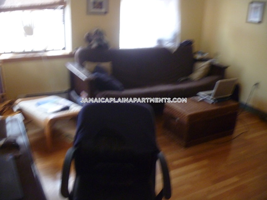 BOSTON - JAMAICA PLAIN - HYDE SQUARE - 1 Bed, 1 Bath - Image 21