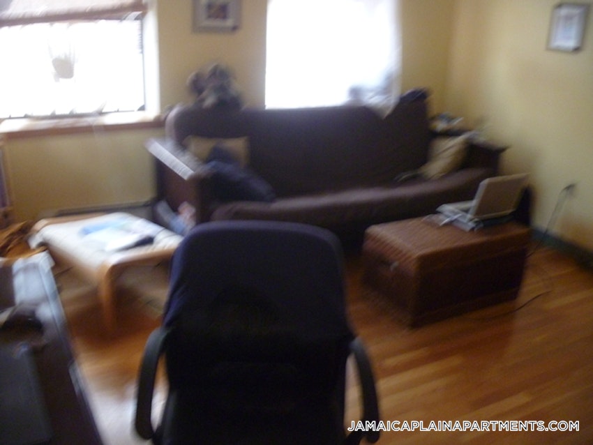 BOSTON - JAMAICA PLAIN - HYDE SQUARE - 1 Bed, 1 Bath - Image 21