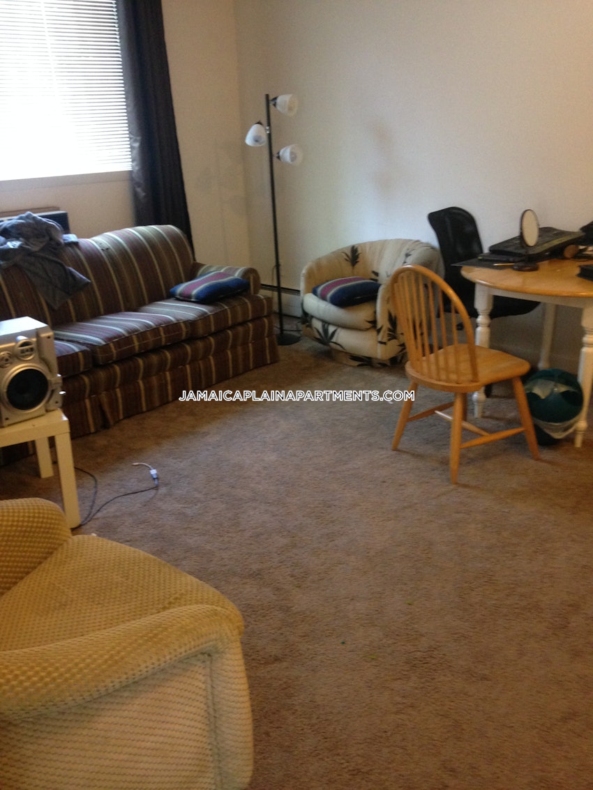 BOSTON - JAMAICA PLAIN - JAMAICA POND/PONDSIDE - 2 Beds, 1 Bath - Image 15