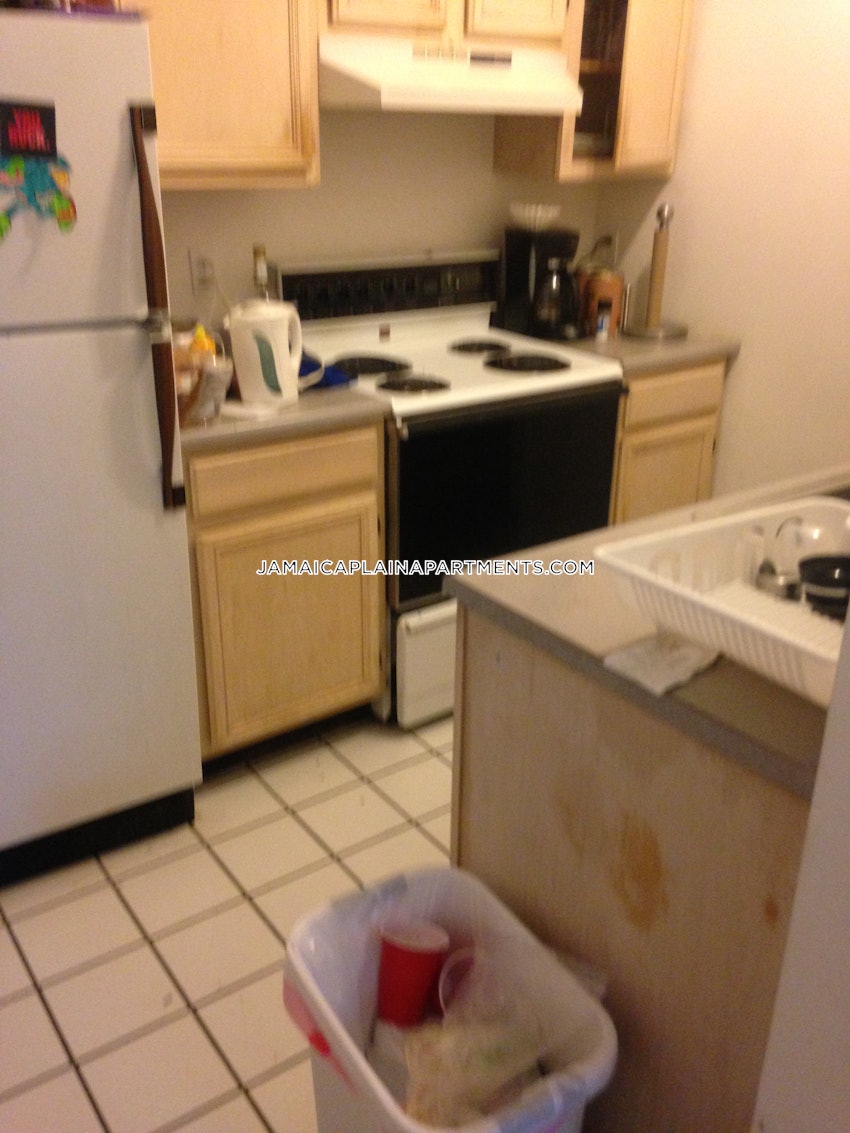 BOSTON - JAMAICA PLAIN - JACKSON SQUARE - 2 Beds, 1 Bath - Image 10