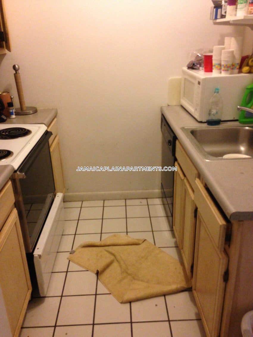 BOSTON - JAMAICA PLAIN - JAMAICA POND/PONDSIDE - 2 Beds, 1 Bath - Image 9