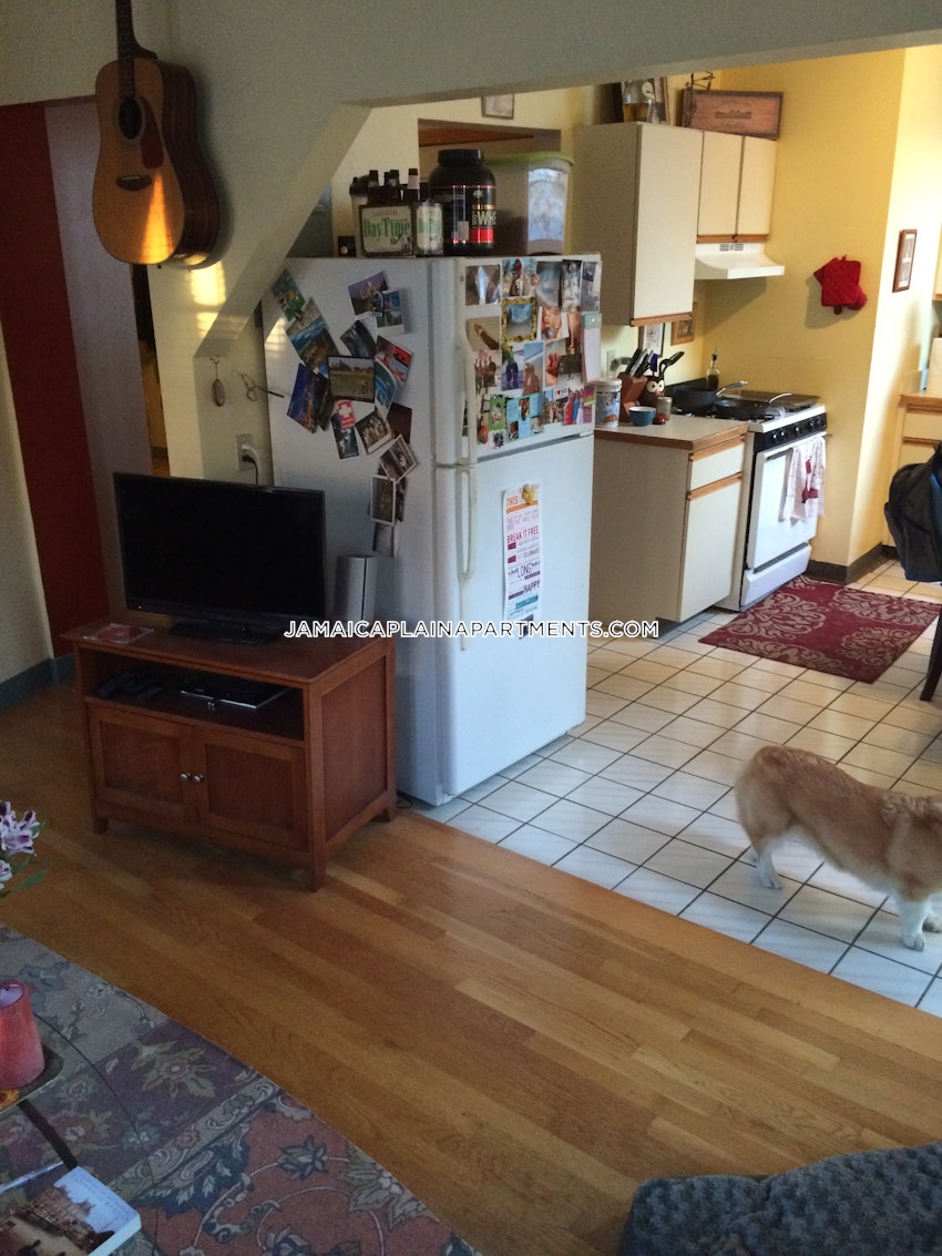 BOSTON - JAMAICA PLAIN - HYDE SQUARE - 1 Bed, 1 Bath - Image 3