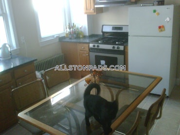 Lower Allston, Boston, MA - 6 Beds, 2 Baths - $6,875 - ID#4381186