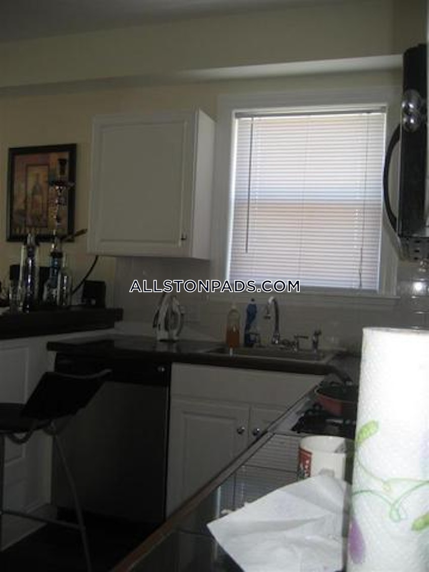 BOSTON - LOWER ALLSTON - 4 Beds, 2 Baths - Image 9