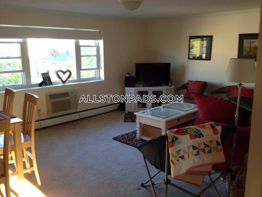 BOSTON - LOWER ALLSTON - 2 Beds, 1 Bath - Image 5