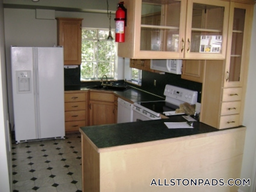 BOSTON - LOWER ALLSTON - 3 Beds, 2 Baths - Image 43