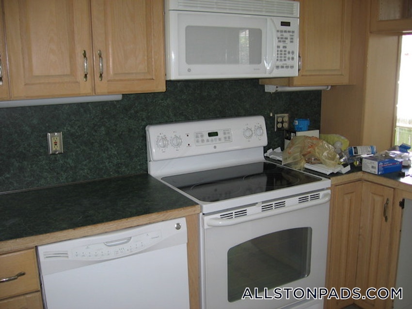 BOSTON - LOWER ALLSTON - 3 Beds, 2 Baths - Image 25