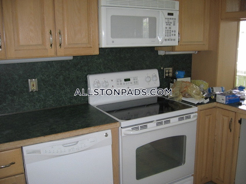 BOSTON - LOWER ALLSTON - 3 Beds, 2 Baths - Image 15