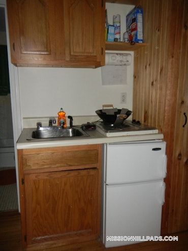 Mission Hill, Boston, MA - Studio, 1 Bath - $1,850 - ID#5441297