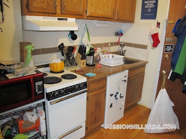 Mission Hill, Boston, MA - Studio, 1 Bath - $1,900 - ID#50418