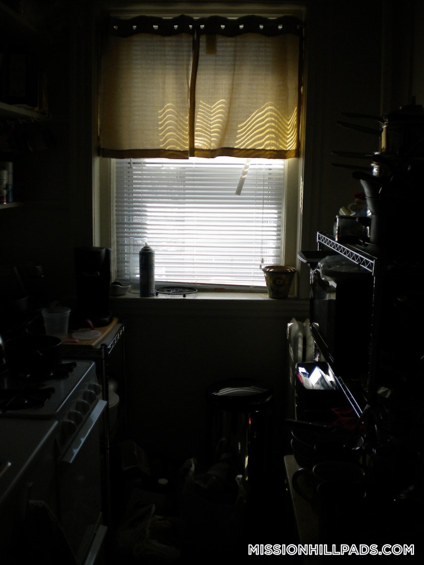 BOSTON - MISSION HILL - Studio , 1 Bath - Image 11