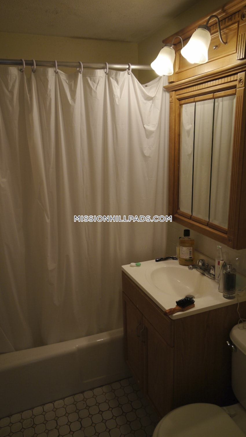 BOSTON - MISSION HILL - 1 Bed, 1 Bath - Image 10