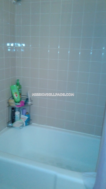 Mission Hill, Boston, MA - 2 Beds, 1 Bath - $3,100 - ID#8010019