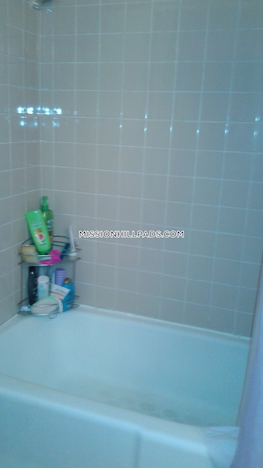 BOSTON - MISSION HILL - 2 Beds, 1 Bath - Image 3