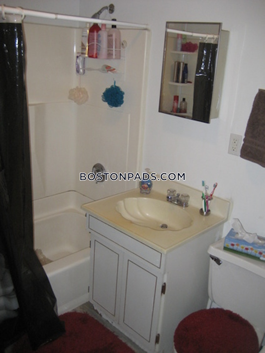 BOSTON - NORTHEASTERN/SYMPHONY - 1 Bed, 1 Bath - Image 13