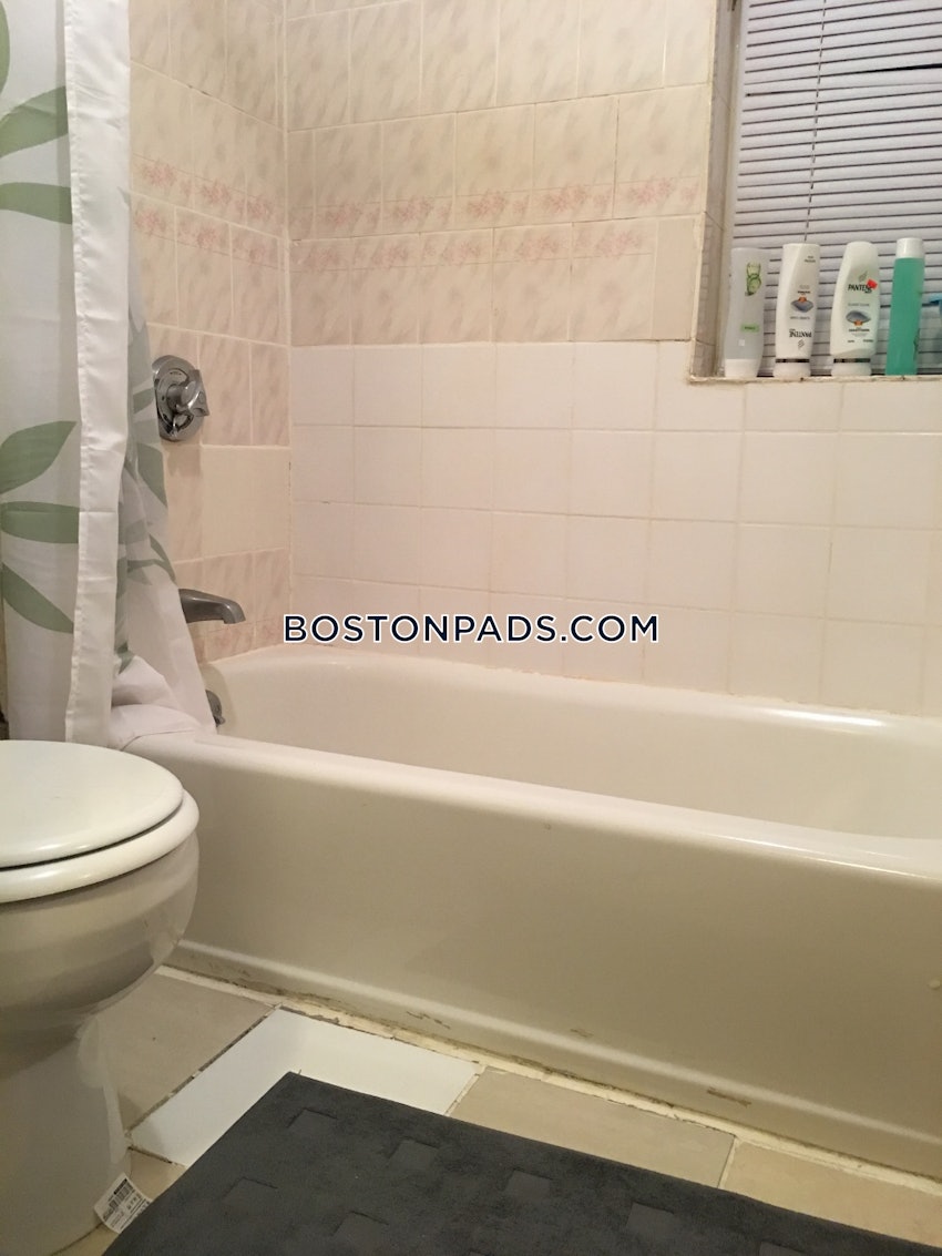 BOSTON - NORTHEASTERN/SYMPHONY - 1 Bed, 1 Bath - Image 41