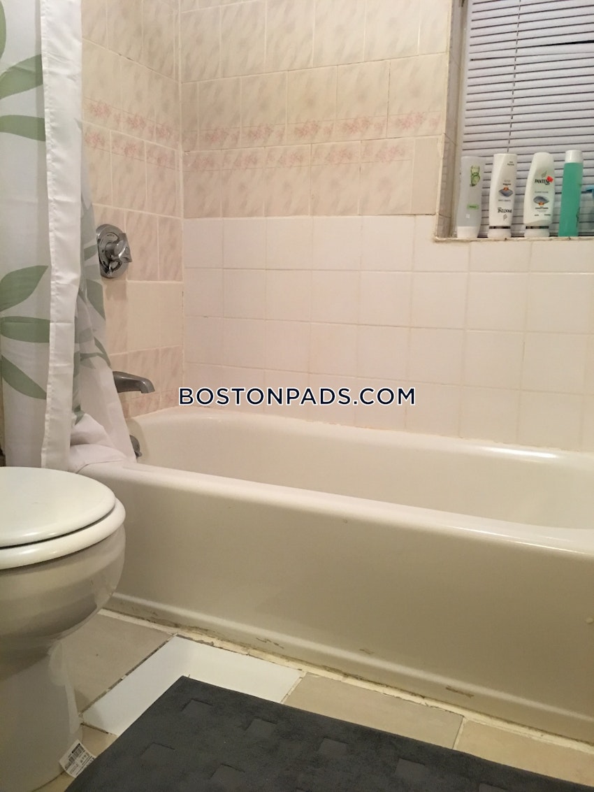 BOSTON - NORTHEASTERN/SYMPHONY - 1 Bed, 1 Bath - Image 44