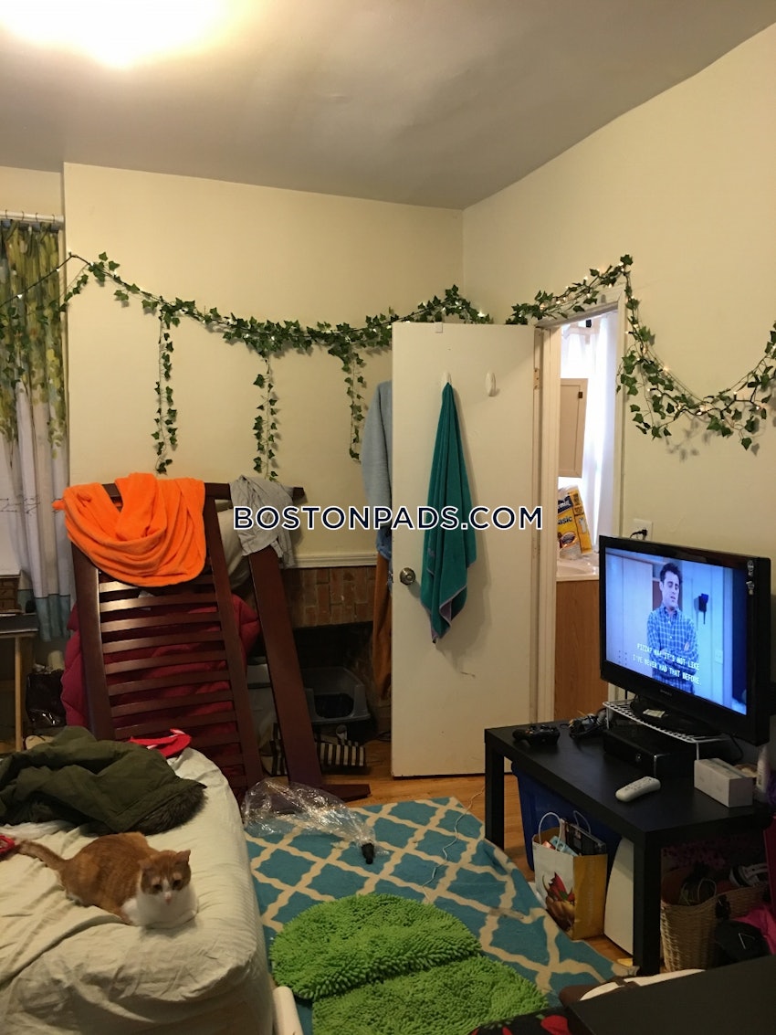 BOSTON - FENWAY/KENMORE - 1 Bed, 1 Bath - Image 2